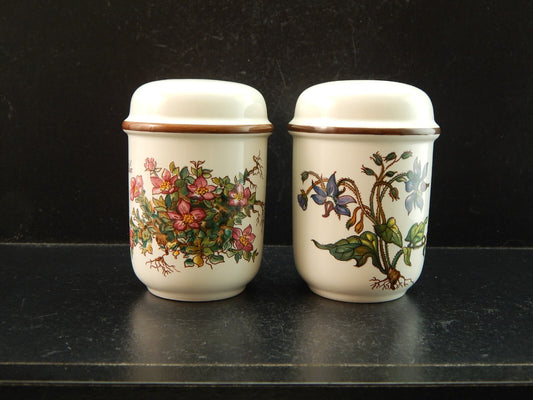 VINTAGE VILLEROY&BOCH SET SALE E PEPE PORCELLANA COLLEZIONE BOTANICA