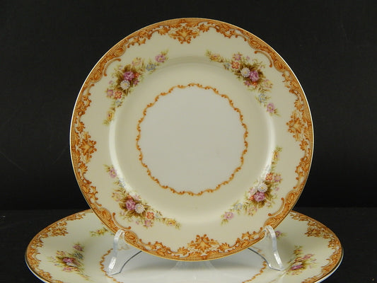 VINTAGE PREZIOSO SERVIZIO TAVOLA PORCELLANA 12 PIATTI SVOTO CHINA JAPAN