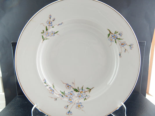 ANTICO RARO PIATTO FONDO PORCELLANA JAEGER&CO BAVARIA 1945 NON TI SCORDAR DI ME