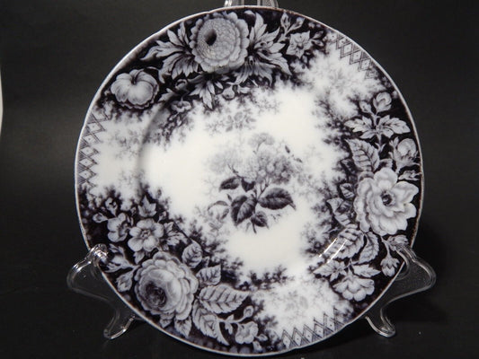 ANTICO RARO PIATTO CERAMICA DISEGNO JARDINIERE VILLEROY & BOCH FINE '800 B1145