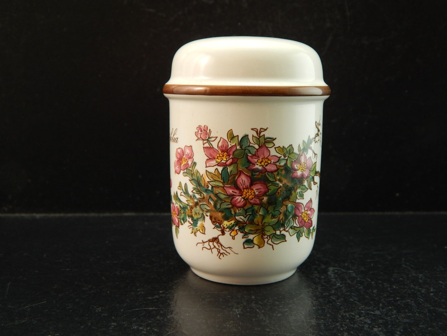 VINTAGE VILLEROY&BOCH SET SALE E PEPE PORCELLANA COLLEZIONE BOTANICA