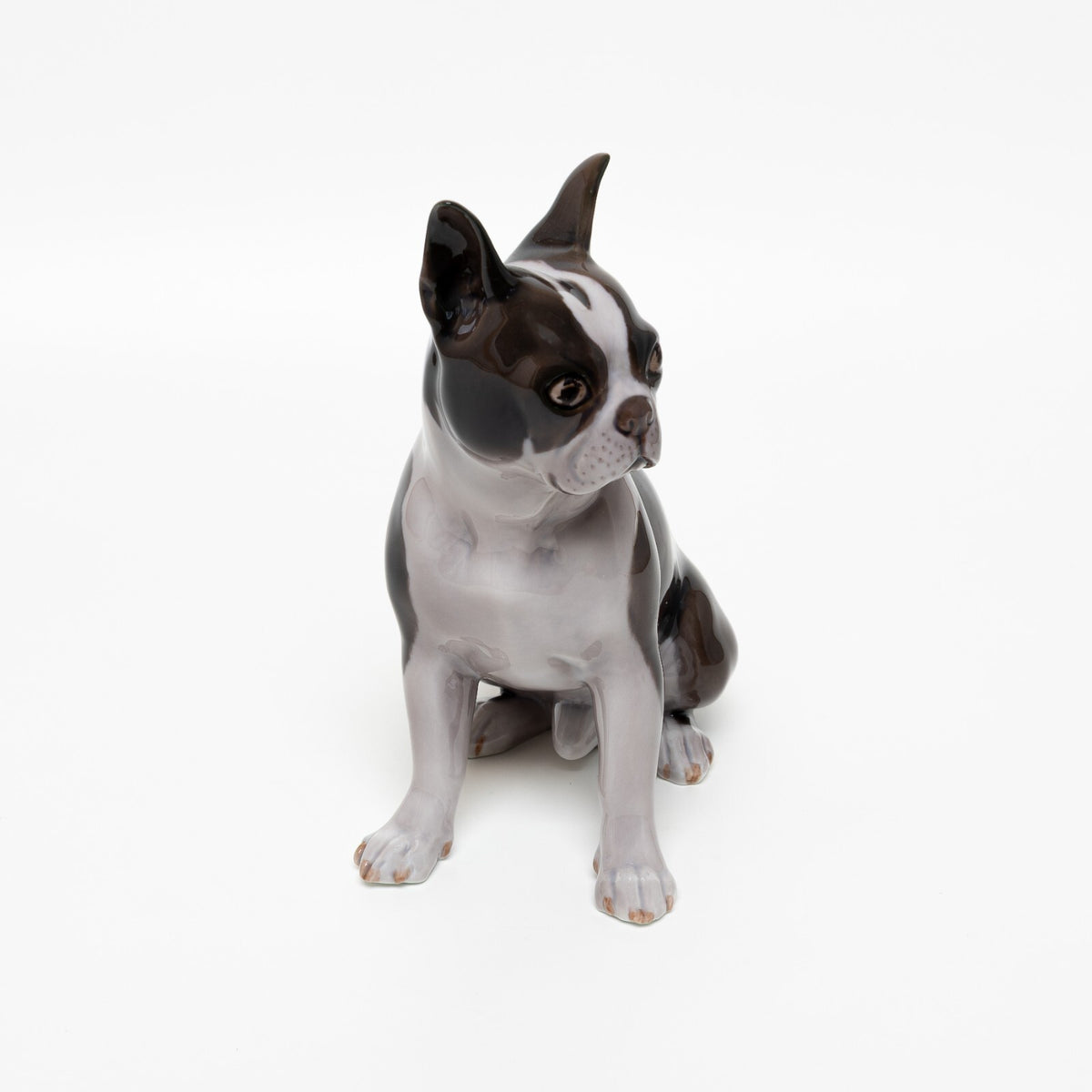 Statuina in "Boston Terrier" Cod 2330 porcellana pezzo raro da collezione, 19 cm