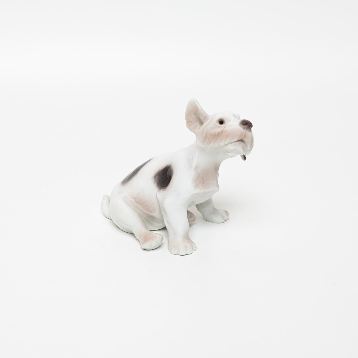 Bing&Grondahl Statuina in "Fox Terrier a Pelo Duro" Cod 2028 porcellana dipinta a mano, 11 cm