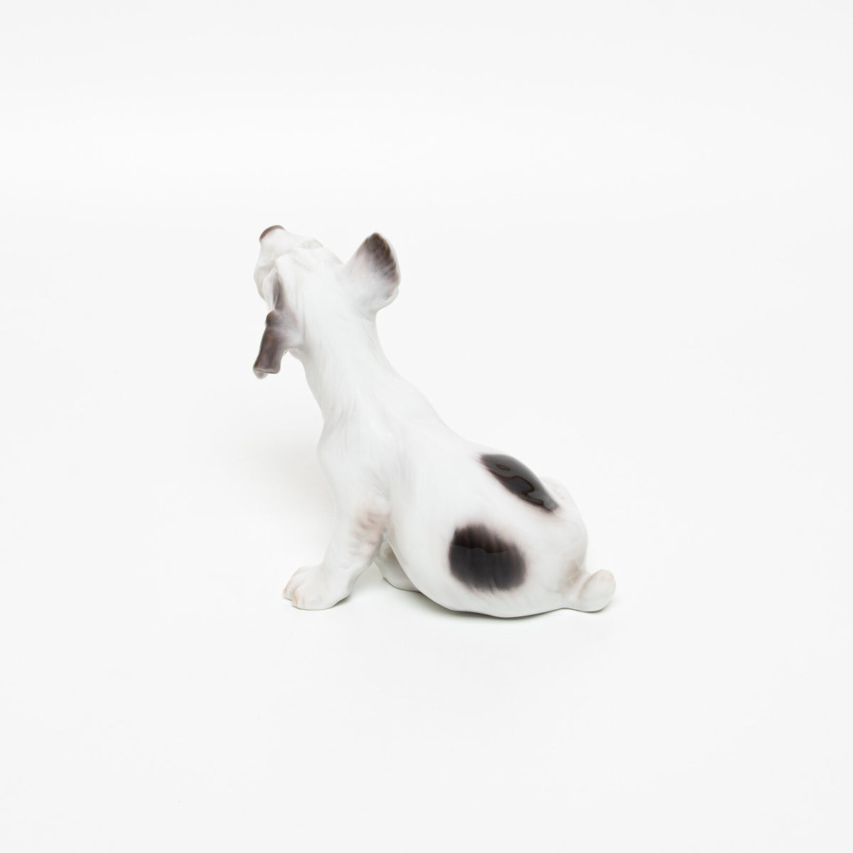 Statuina in "Fox Terrier a Pelo Duro" Cod 2028 porcellana pezzo da collezione, 11 cm