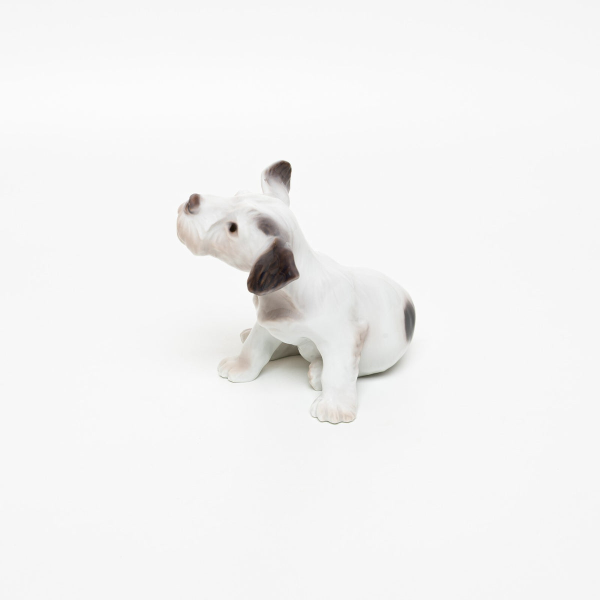 Bing&Grondahl porcellana Statuina in "Fox Terrier a Pelo Duro" Cod 2028 d'antiquariato, 11 cm