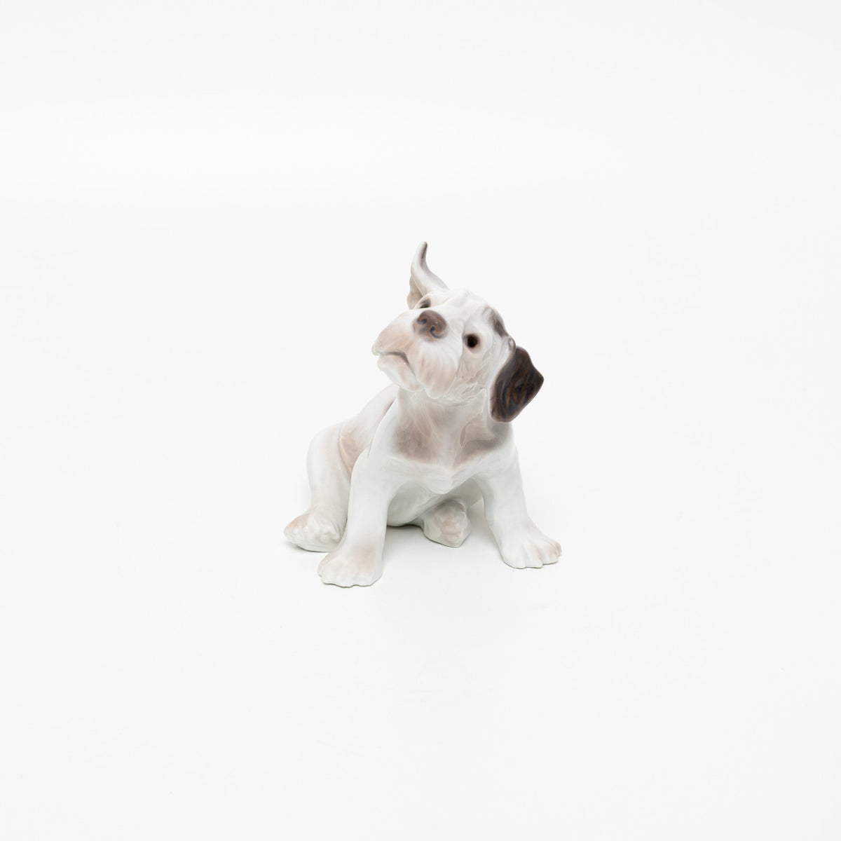 Statuina in "Fox Terrier a Pelo Duro" Cod 2028 porcellana pezzo raro da collezione, 11 cm