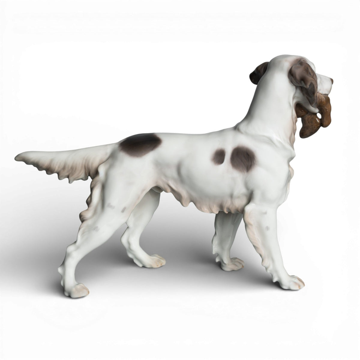 Statuina in "Setter Inglese" Cod 2015 porcellana pezzo da collezione, 16 cm