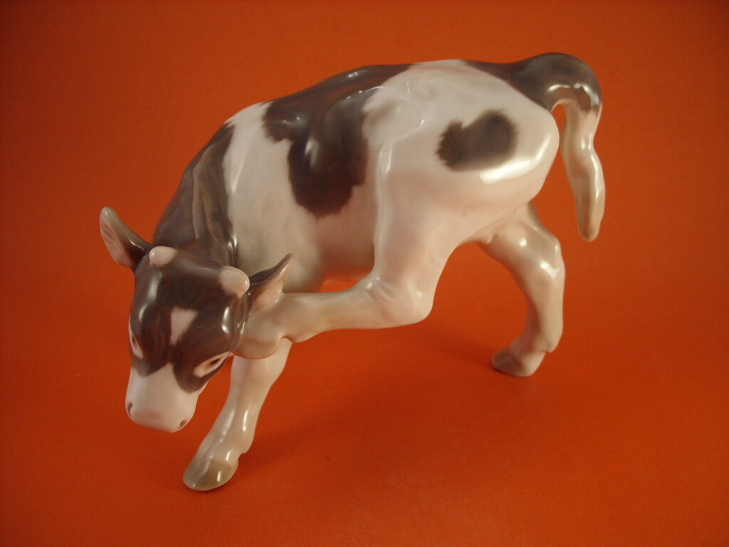 Bing&Grondahl Statuina "Vitello che si Gratta l'Orecchio" Cod 1826 porcellana dipinta a mano, 14 cm