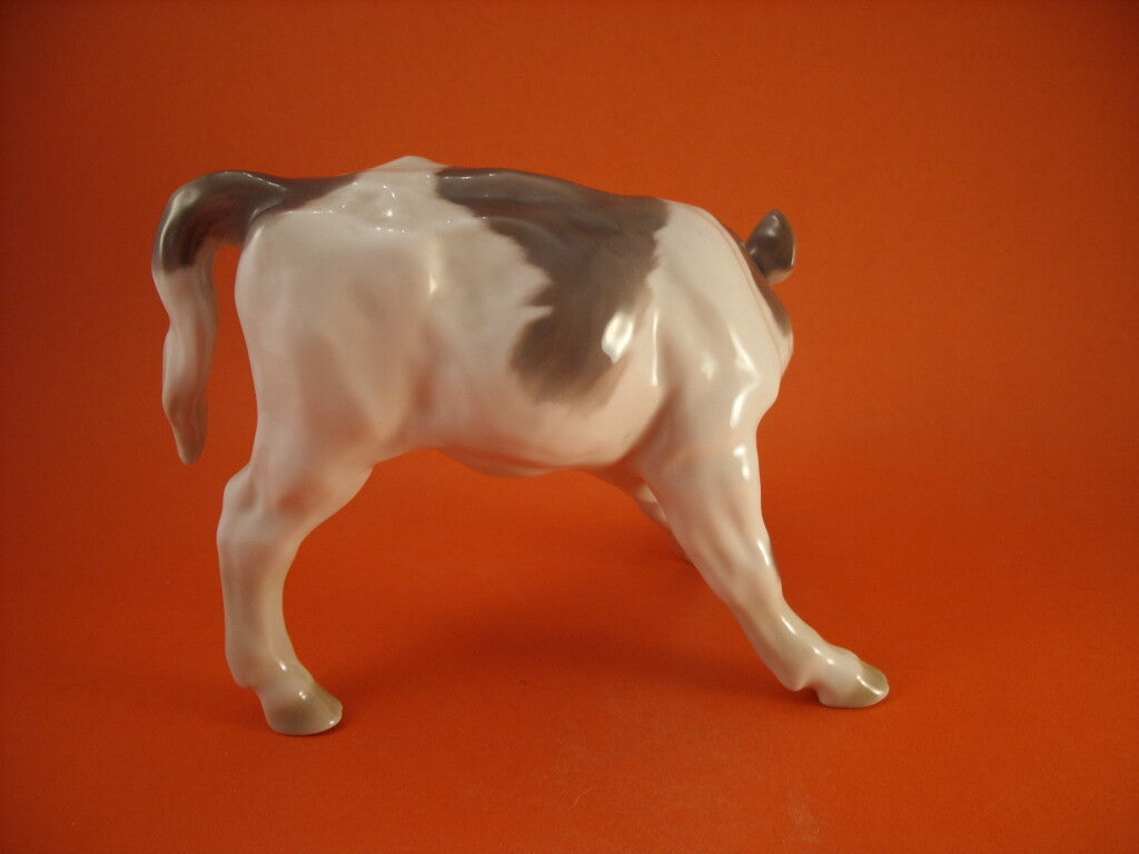 Bing&Grondahl Statuina "Vitello che si Gratta l'Orecchio" Cod 1826 decorazione porcellana da collezione, 14 cm