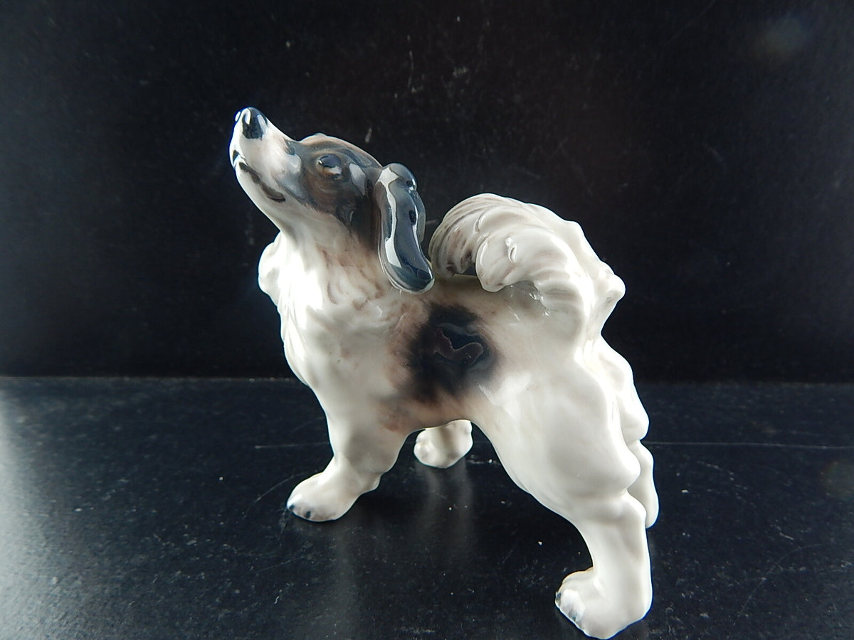 Statuina in "Papillon Terrier" Cod 1075 Dahl Jensen porcellana autentica, 9 cm