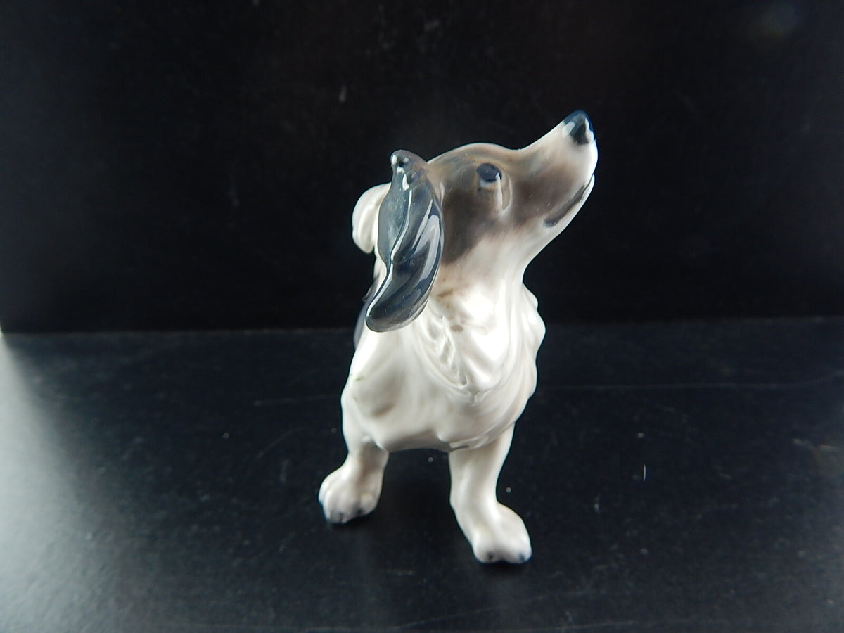 Statuina in "Papillon Terrier" Cod 1075 porcellana pezzo da collezione, 9 cm