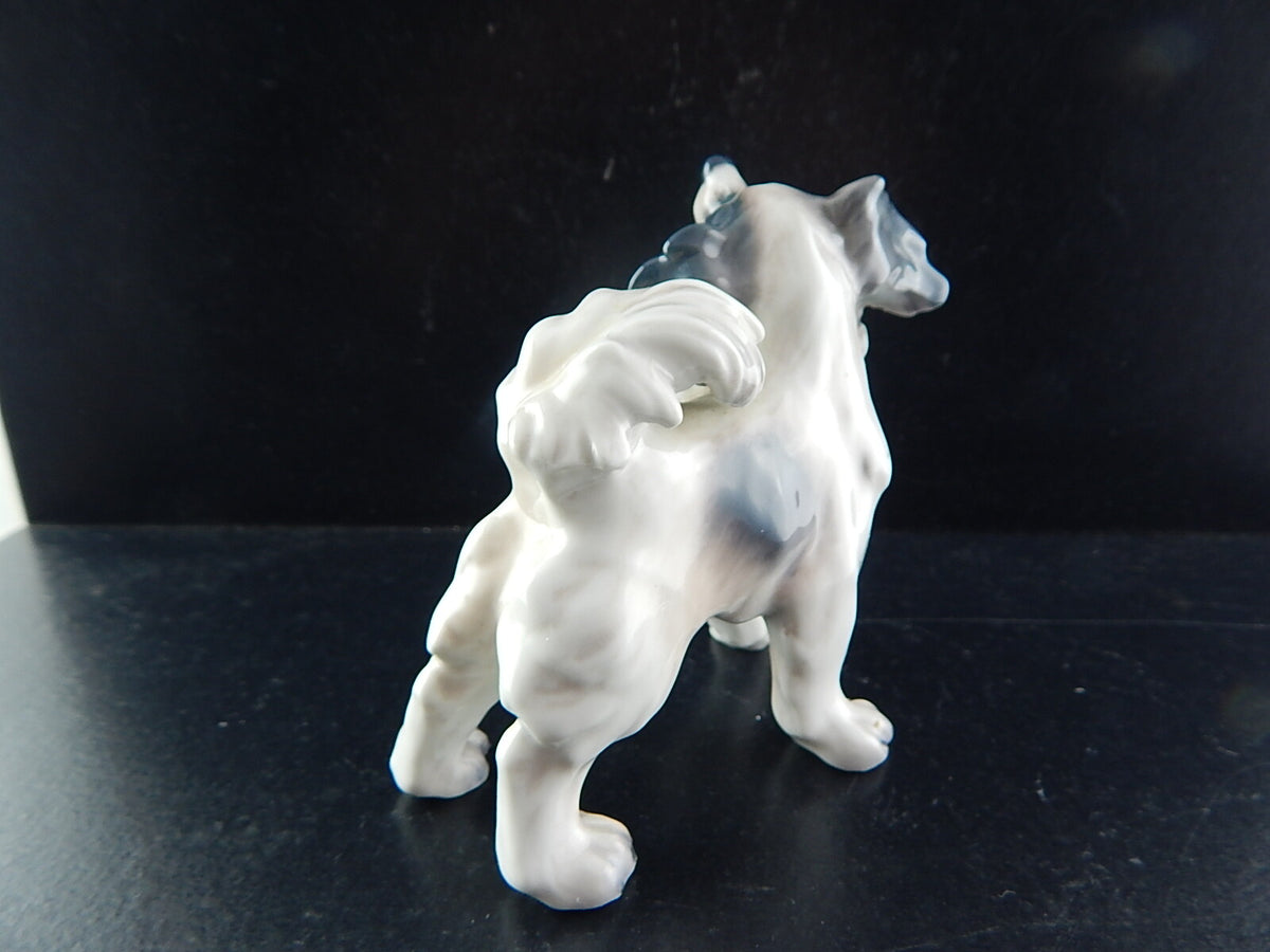 Statuina in "Papillon Terrier" Cod 1075 porcellana pezzo raro da collezione, 9 cm