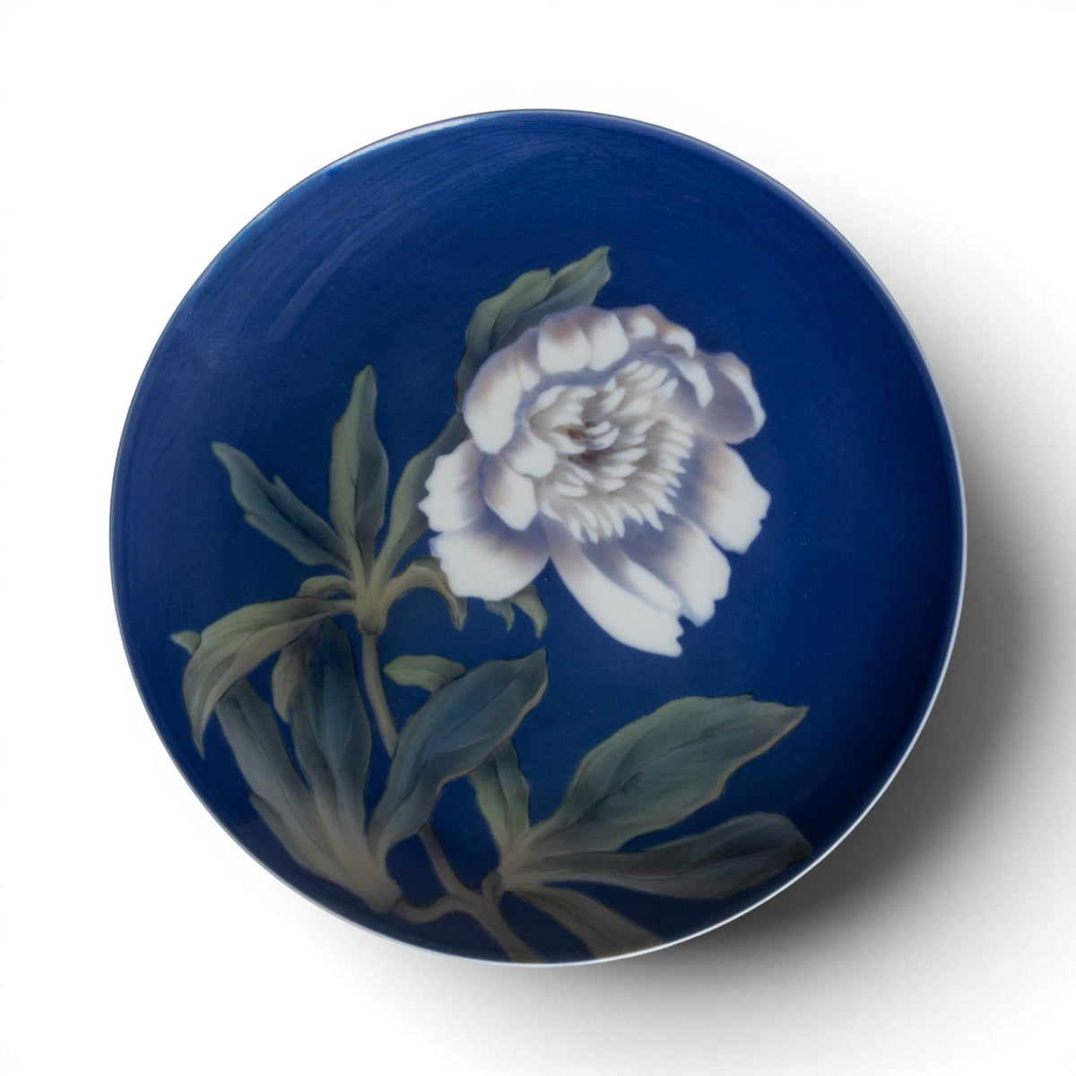 Royal Copenhagen piatto in porcellana con grande fiore bianco dipinto a mano, decoro sottosmalto su fondo blu intenso