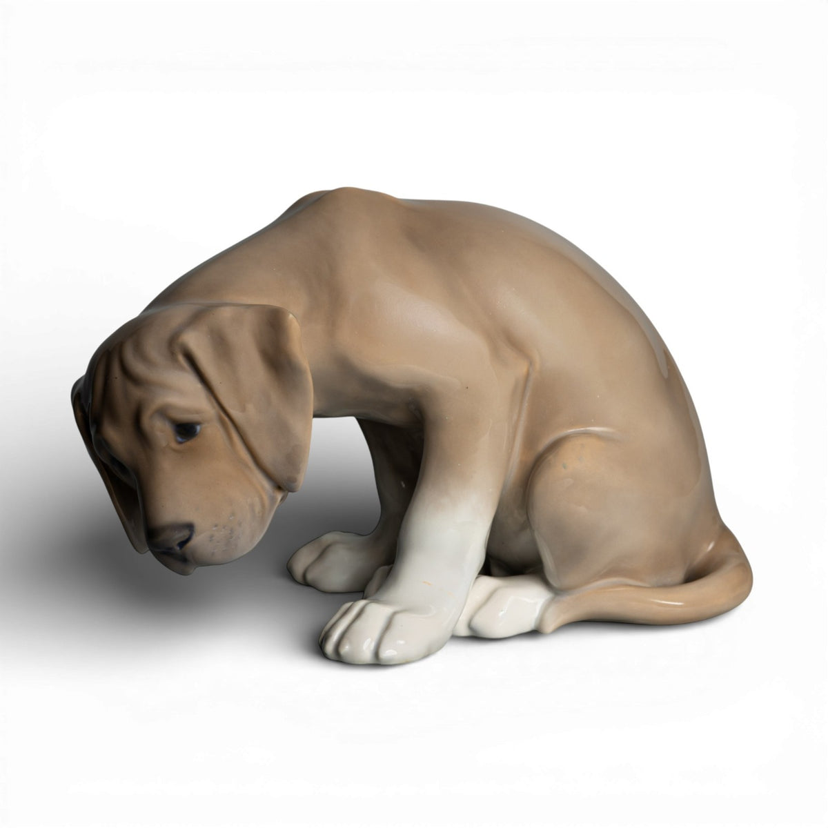 Royal Copenhagen Statuina "Cucciolo Labrador, Bob" Cod 318 (Restaurata) porcellana dipinta a mano, 13 cm