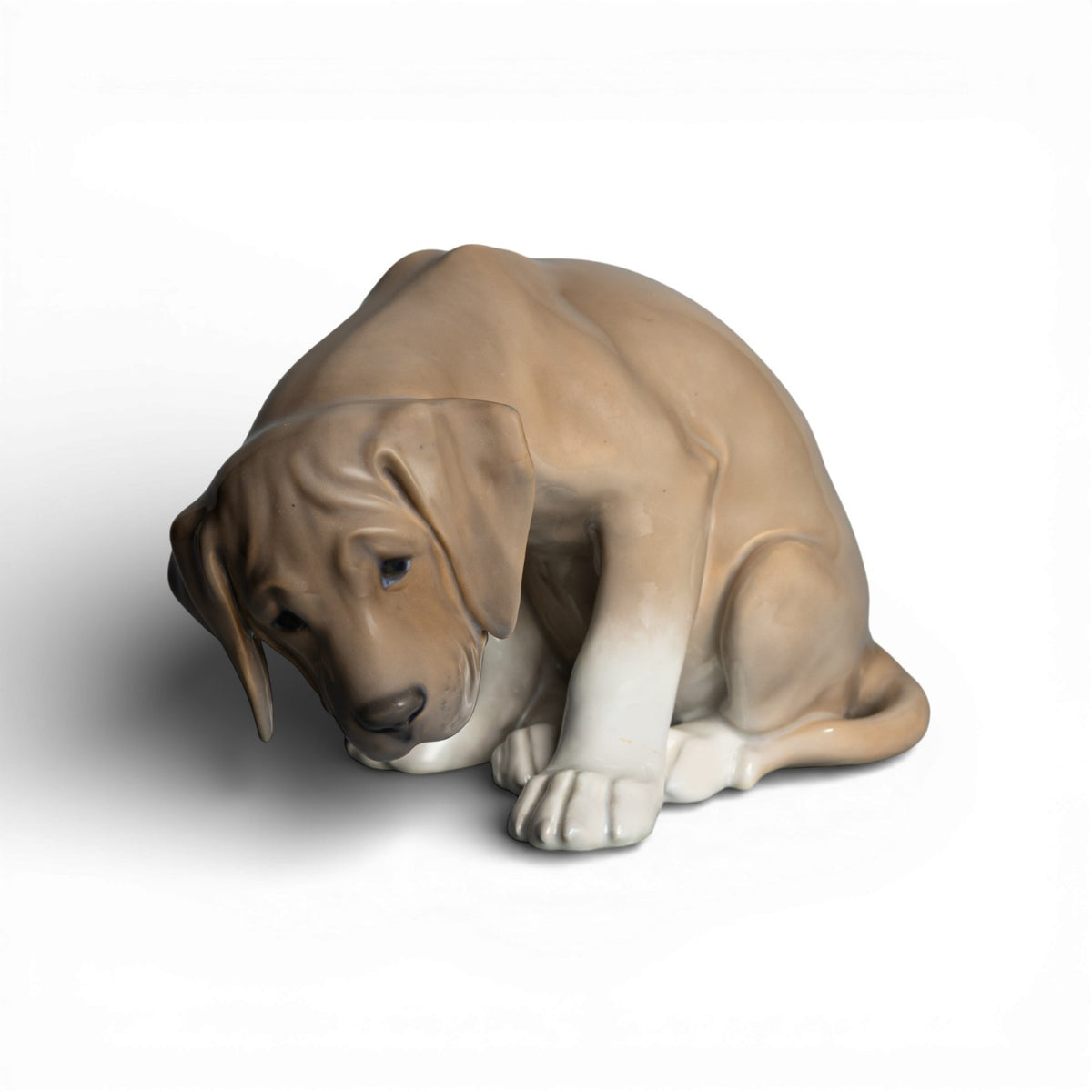 Statuina "Cucciolo Labrador, Bob" Cod 318 (Restaurata) porcellana pezzo raro da collezione, 13 cm