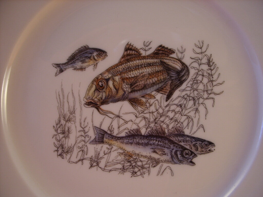 Decoro con pesci su fondo avorio, serie Pesci Winterling Bavaria