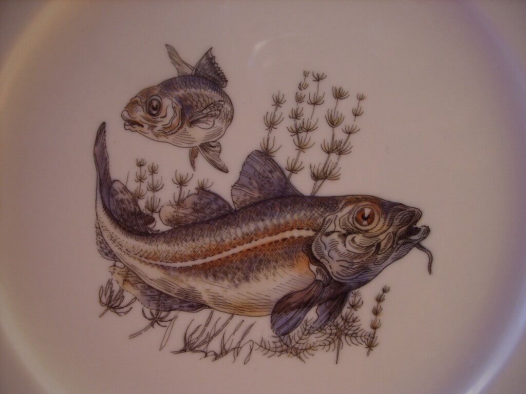 Decoro con pesci su fondo avorio, serie Pesci Winterling Bavaria