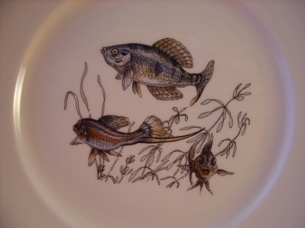 Decoro con pesci su fondo avorio, serie Pesci Winterling Bavaria